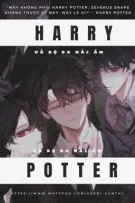 Harry Potter và bộ ba hắc ám