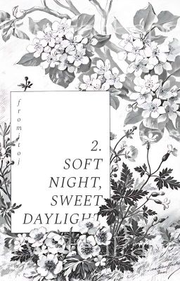 [02:00] MIDSOMMER | Soft Night, Sweet Daylight