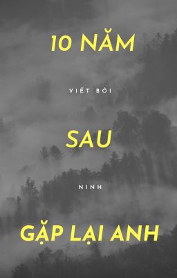 10 năm sau gặp lại anh