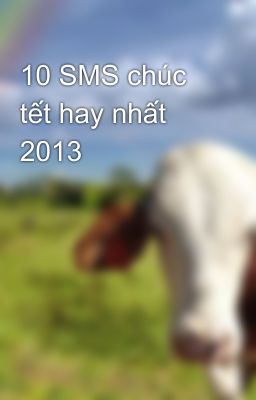 10 SMS chúc tết hay nhất 2013