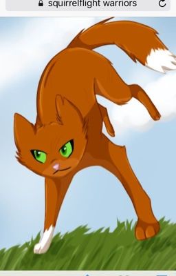 10 ways to get on Squirrelflight's nerves