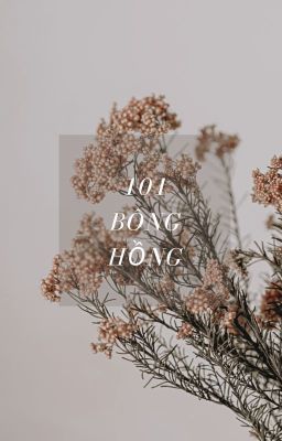 101 Bông Hồng