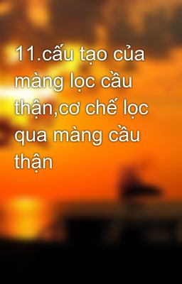 11.cấu tạo của màng lọc cầu thận,cơ chế lọc qua màng cầu thận