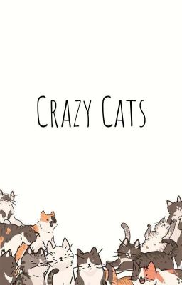 (12 cs) Crazy Cats