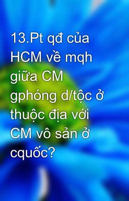13.Pt qđ của HCM về mqh giữa CM gphóng d/tộc ở thuộc địa với CM vô sản ở cquốc?