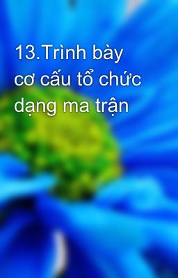 13.Trình bày cơ cấu tổ chức dạng ma trận