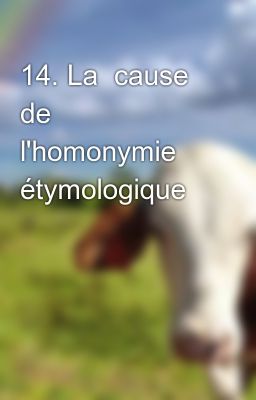 14. La  cause de l'homonymie étymologique