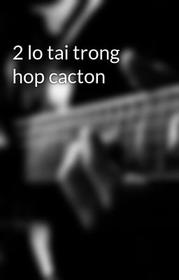 2 lo tai trong hop cacton