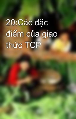 20:Các đặc điểm của giao thức TCP
