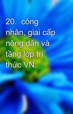 20.  công nhân, giai cấp nông dân và tầng lớp trí thức VN: