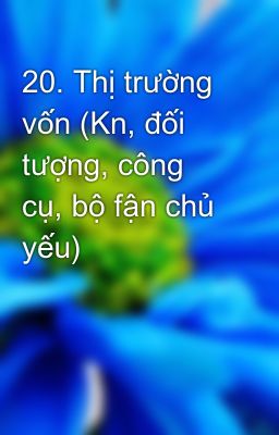 20. Thị trường vốn (Kn, đối tượng, công cụ, bộ fận chủ yếu)