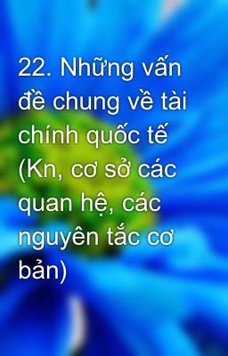 22. Những vấn đề chung về tài chính quốc tế (Kn, cơ sở các quan hệ, các nguyên tắc cơ bản)