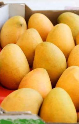 2huang | mango