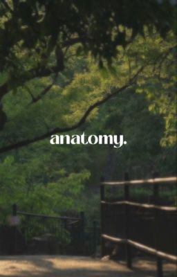 2min | anatomy