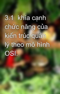 3.1  khía cạnh chức năng của kiến trúc quản lý theo mô hình OSI.