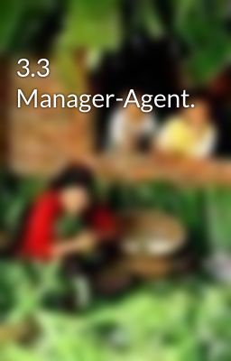 3.3   Manager-Agent.