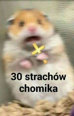 30 strachów chomika🐹