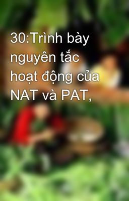 30:Trình bày nguyên tắc hoạt động của NAT và PAT,