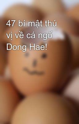 47 bí mật thú vị về cá ngố Dong Hae!