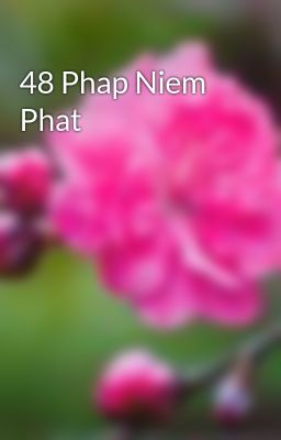 48 Phap Niem Phat