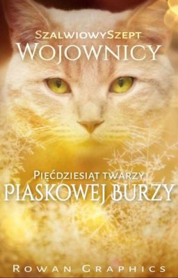 50 twarzy Piaskowej Burzy - special na 50 obs