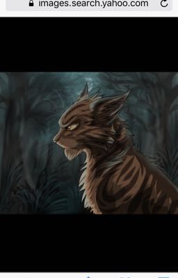 50+ Ways To Annoy TigerStar