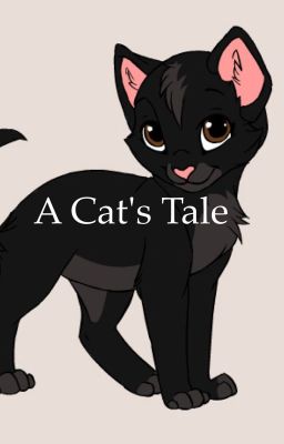 A Cat's Tale