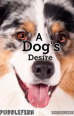 A Dog's Desire 