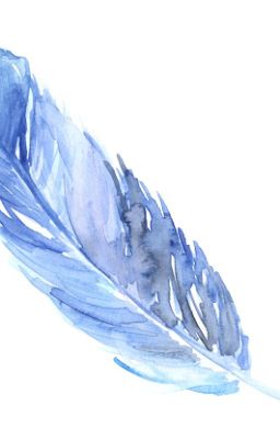 A Feather [Dropped]