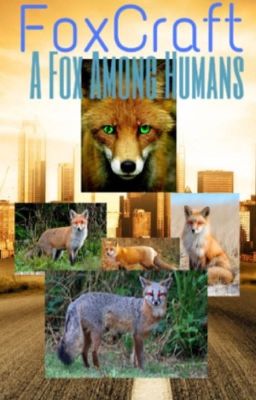 A Fox Among Humans- A Foxcraft Fanfiction