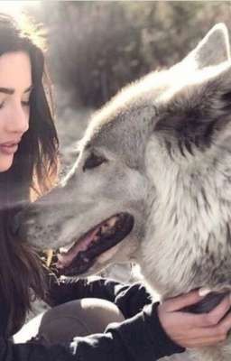 A Girl's Best Friend is a Wolf