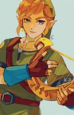 A Hero's Choice : A Skyward Sword Fanfic