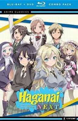 A Proper Ending (Haganai x Male Reader) [One shot]