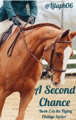 A second chance ~ Book 2 in the Flying Change series~