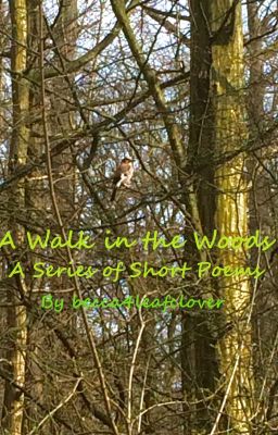 A Walk in the Woods (A Series of Short Poems)