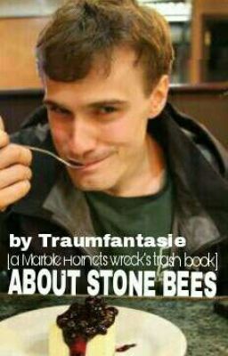 About Stone Bees [a Marble Hornets Fan Book]