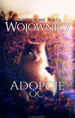 ★Adopcje Oc★ 《ZAMÓWIENIA ZAMKNIĘTE》