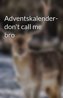 Adventskalender- don't call me bro 