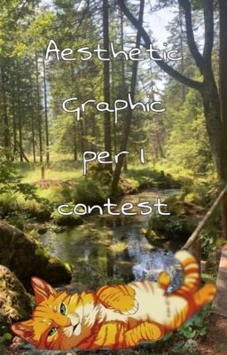 Aesthetic Graphic per i contest