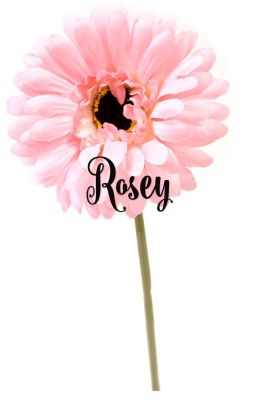 ALL ABOUT ROSEY!!! AND RANDOM STUFF!!!