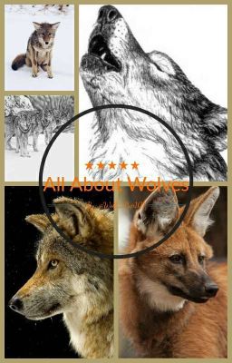 All About Wolves