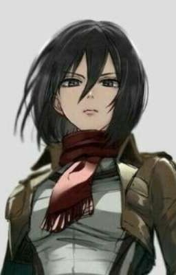 All Mikasa insta