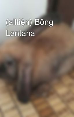 (alltiện) Bông Lantana