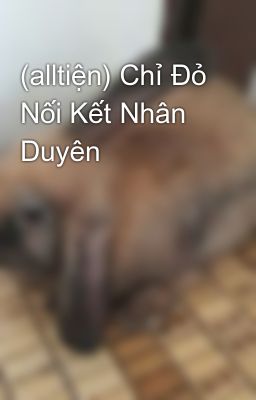 (alltiện) Chỉ Đỏ Nối Kết Nhân Duyên