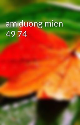 am duong mien 49 74