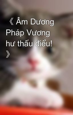 《 Âm Dương Pháp Vương hư thấu điểu! 》