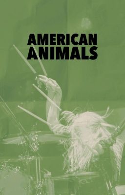 American Animals