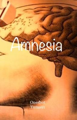 AmNeSiA