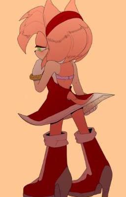 Amy rose x Male Oc