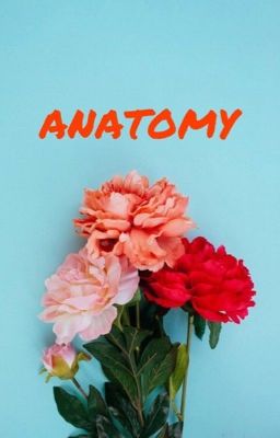 anatomy ❧ myg x jjk